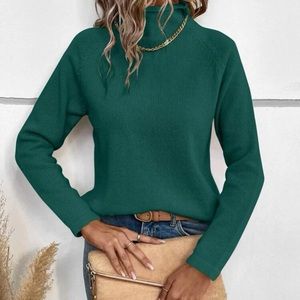 Cozy raglan sleeve high neck sweater top